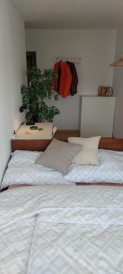 Cozy Apartment Near Augarten 维也纳 外观 照片
